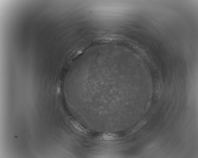 X0000071760758200607150002