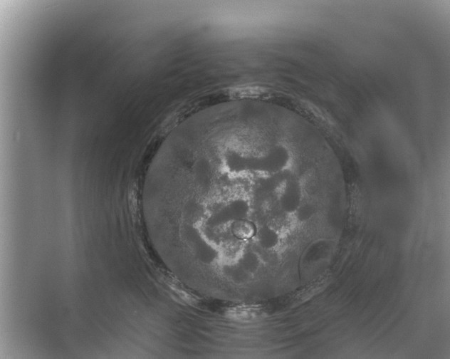 X0000071760761200607150002