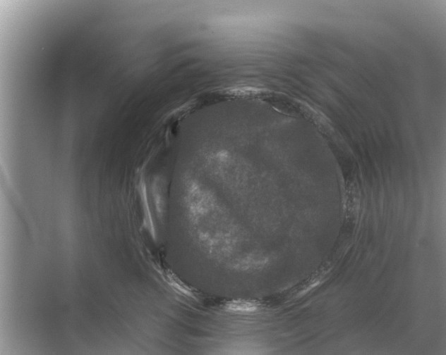 X0000071760762200607150002