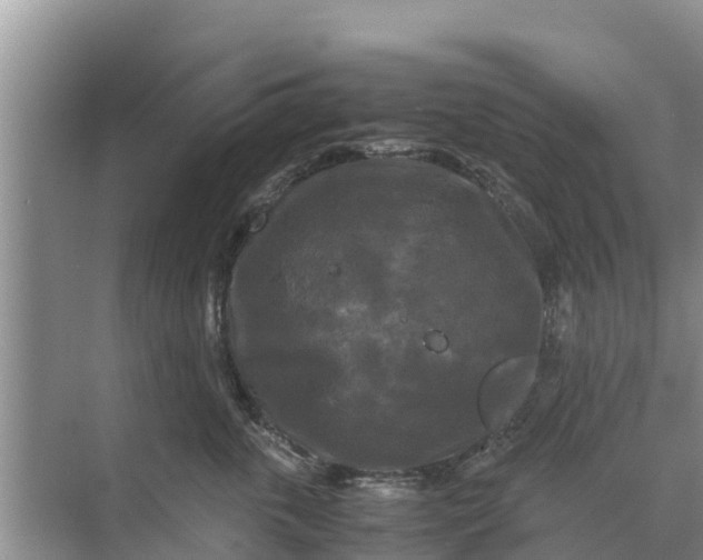 X0000071760763200607150002