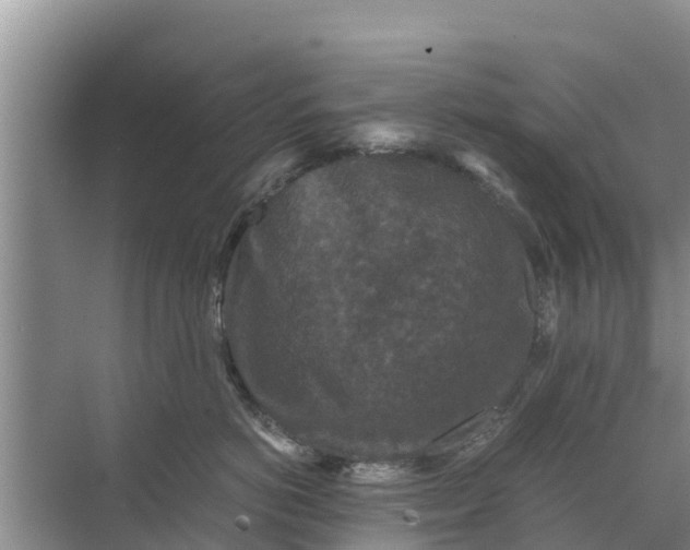 X0000071760766200607150002