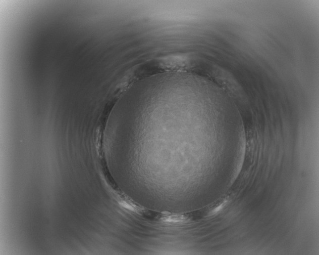 X0000071760767200607150002