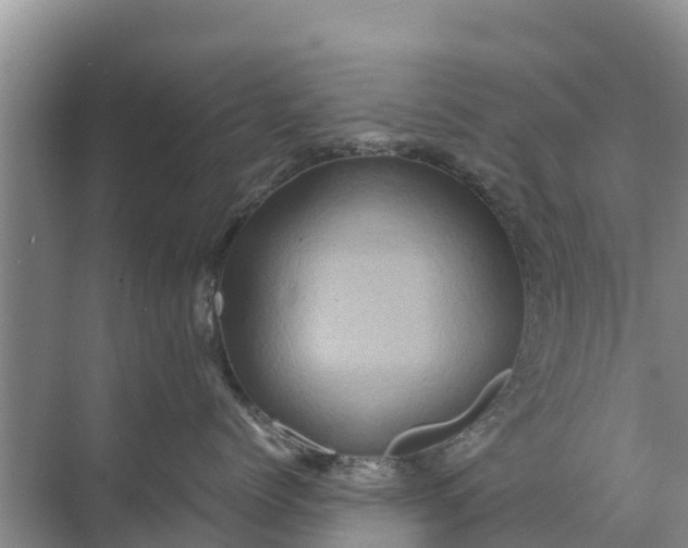 X0000071760768200607150002