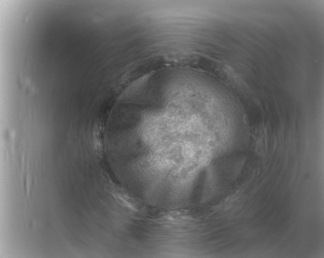 X0000071760770200607150001