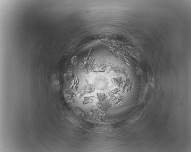 X0000071760771200607150001