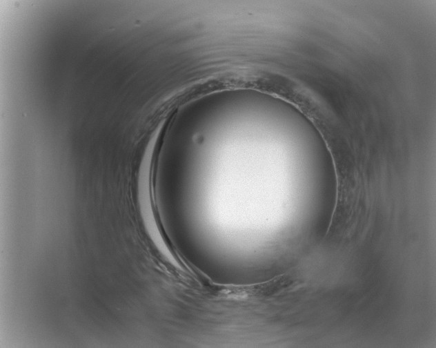 X0000071760773200607150001