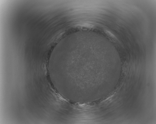 X0000071760774200607150001