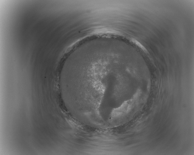 X0000071760775200607150001