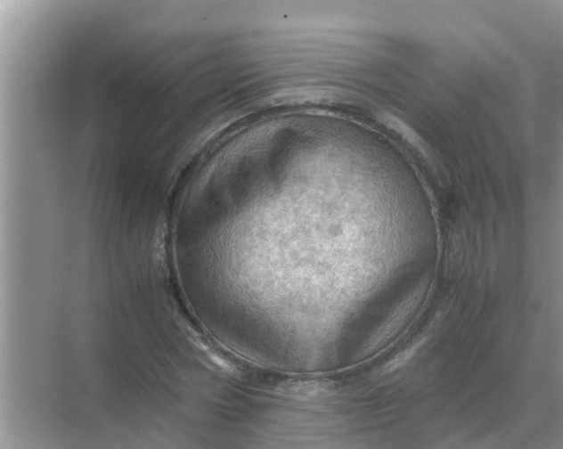 X0000071760778200607150001