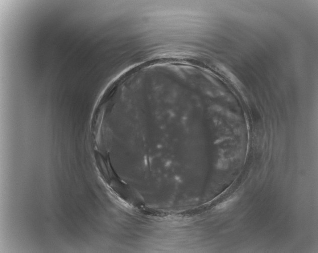 X0000071760779200607150001