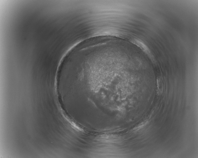 X0000071760780200607150001