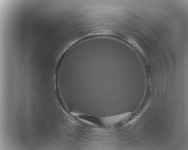 X0000071760781200607150001