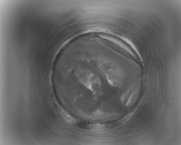 X0000071760783200607150001