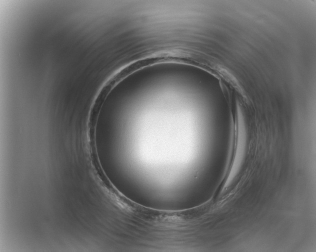 X0000071760784200607150001