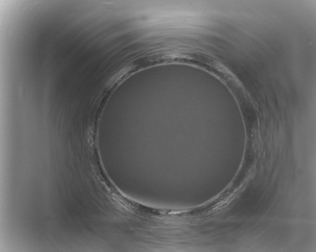 X0000071760785200607150001