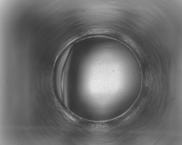 X0000071760786200607150001