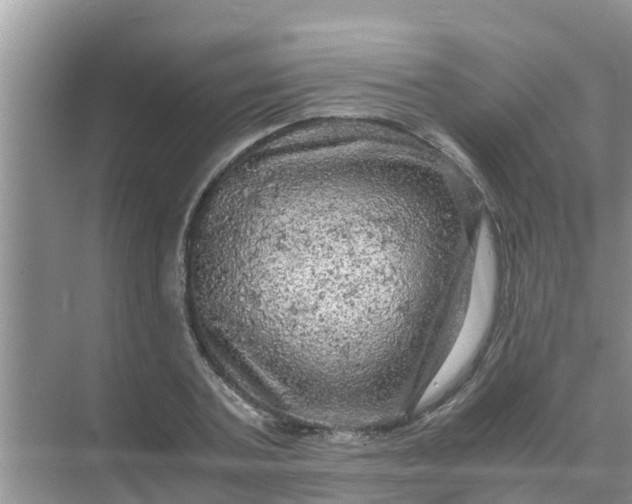 X0000071760787200607150001