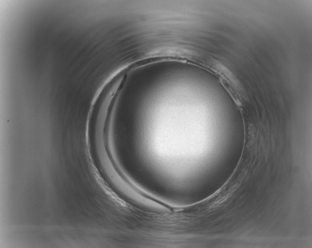 X0000071760788200607150001