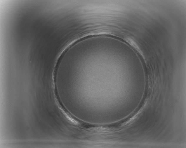 X0000071760789200607150001