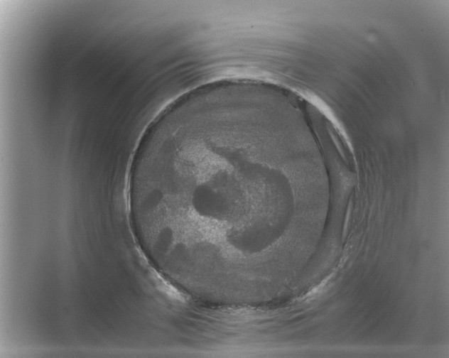 X0000071760791200607150001