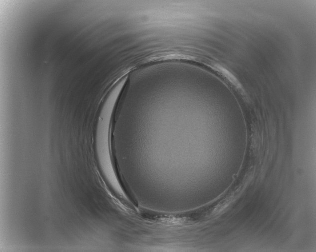 X0000071760793200607150001