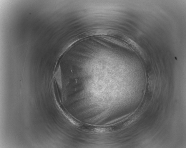 X0000071760794200607150001