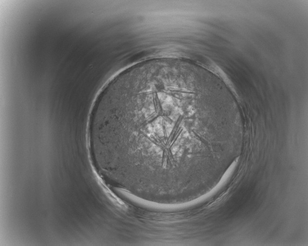 X0000071760795200607150001