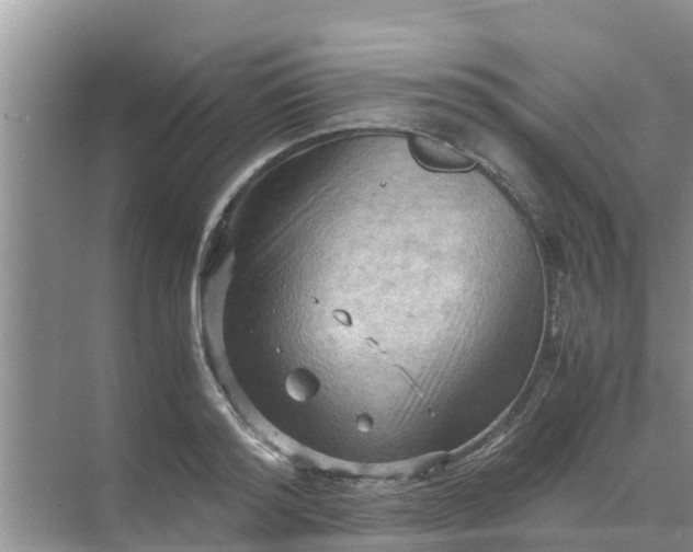 X0000071760796200607150001