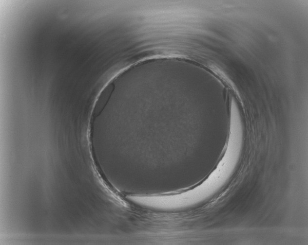 X0000071760797200607150001