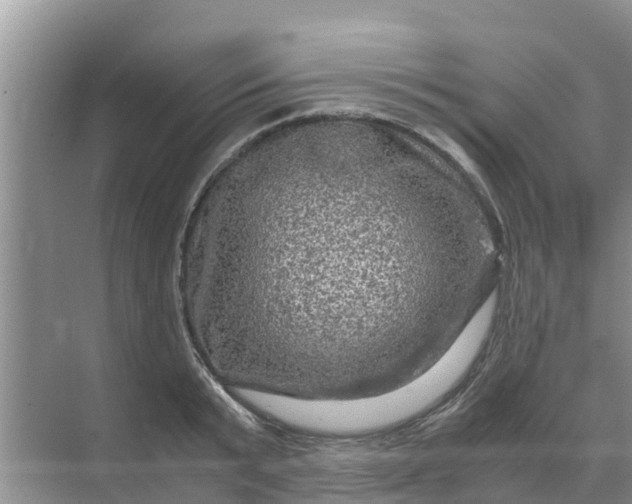 X0000071760799200607150001