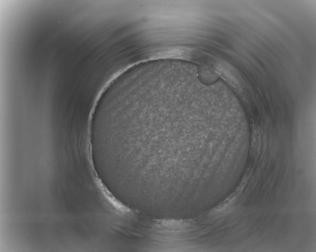 X0000071760800200607150001