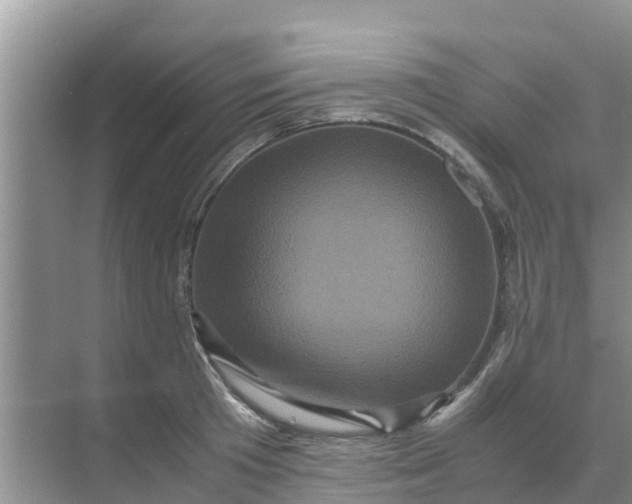 X0000071760801200607150001