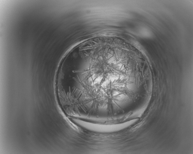 X0000071760803200607150001