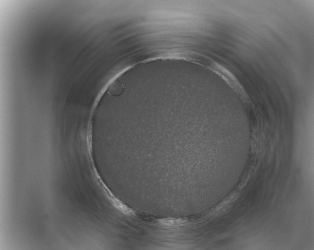 X0000071760804200607150001