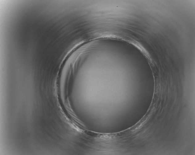 X0000071760806200607150001