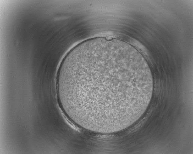 X0000071760808200607150001