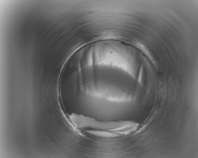 X0000071760810200607150001