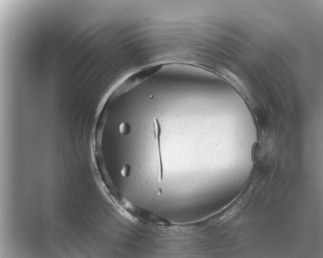 X0000071760812200607150001