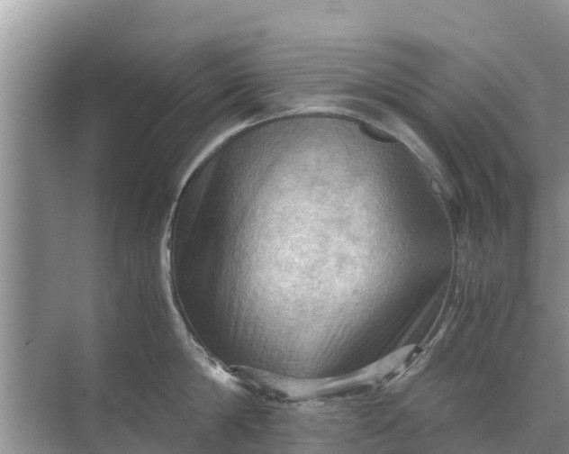 X0000071760814200607150001