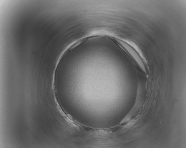 X0000071760815200607150001