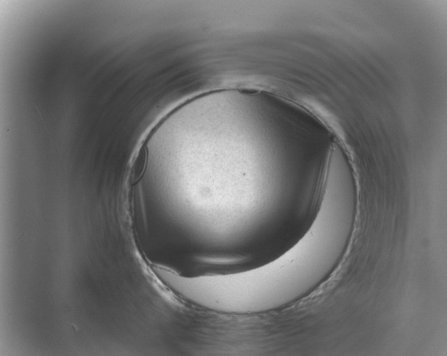 X0000071760816200607150001