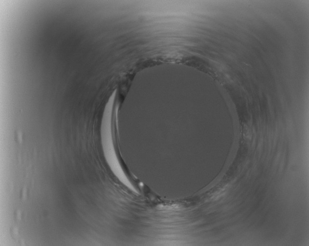 X0000071760818200607150000