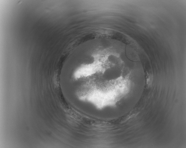 X0000071760819200607150000