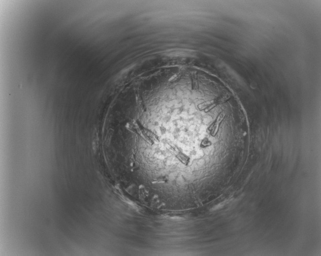 X0000071760821200607150000