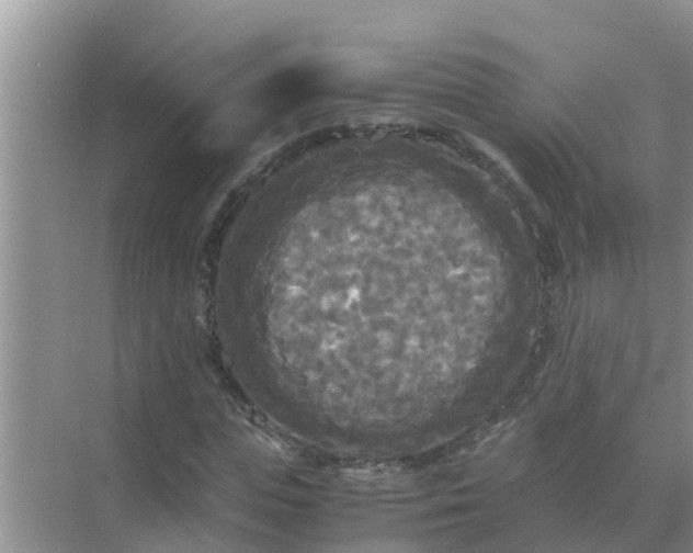 X0000071760823200607150000