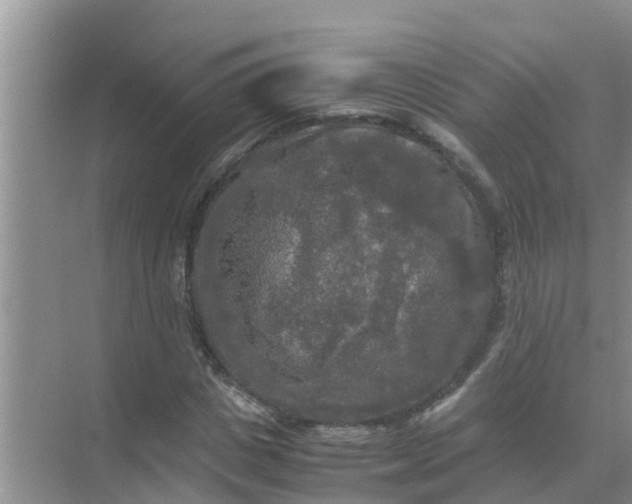 X0000071760825200607150000