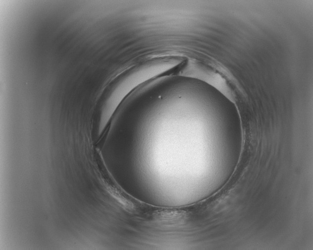 X0000071760826200607150000