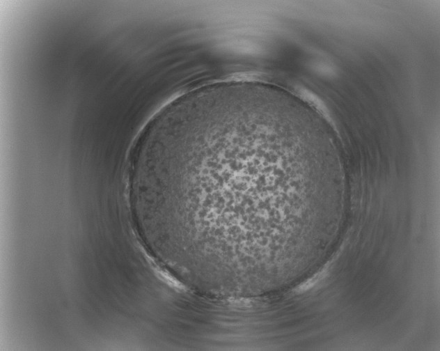 X0000071760827200607150000