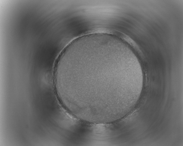 X0000071760828200607150000