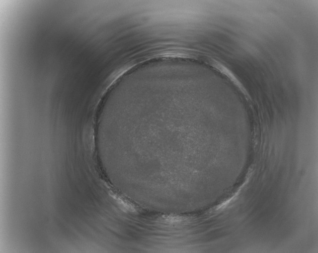 X0000071760829200607150000